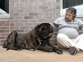 Friendly giant brings calm to psychatric patients in Berwick